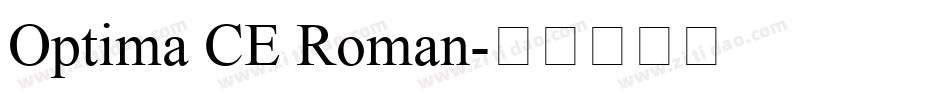 Optima CE Roman字体转换